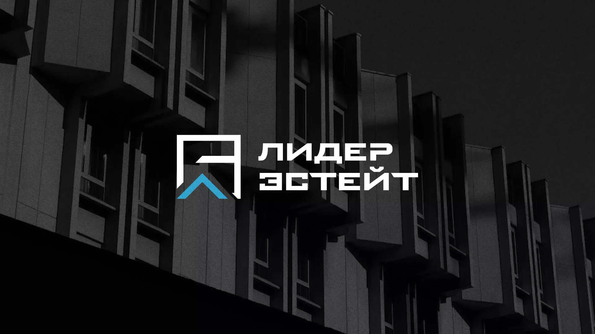 Разработка логотипа агентства недвижимости «Лидер Эстейт» в Юбилейном